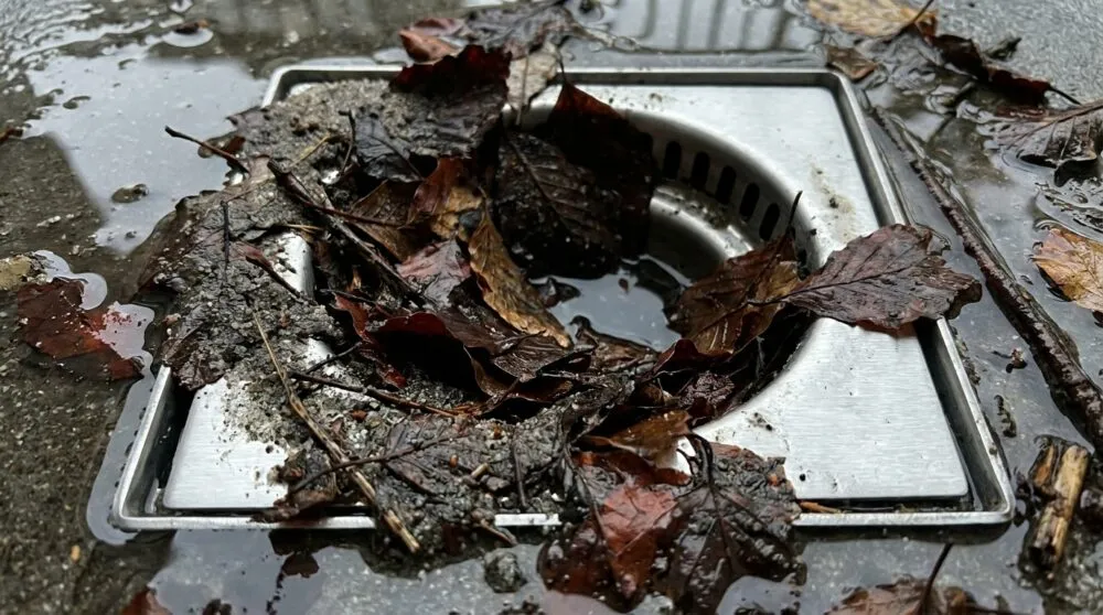 新潟は今週末より梅雨入りとなりますね。